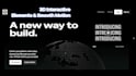 professionally built your website