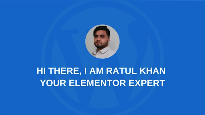 be your elementor expert wordpress bug fix wordpress website design redesign