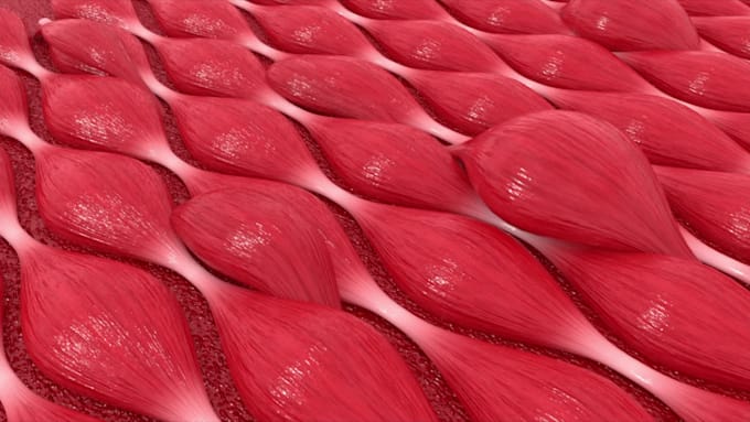 create a great 3d medical animation video
