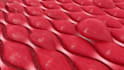create a great 3d medical animation video