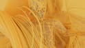 create 3d abstract cinematic realistic 3d animations