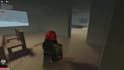 create roblox ugc, emotes, roblox animation, custom model special moves