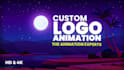 create a  perfect custom logo animation,intro in 24 hours