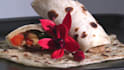 write engaging SEO food and beverages articles