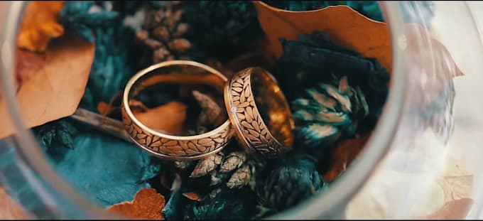 Big Deals! I will do travel, wedding or family video editing