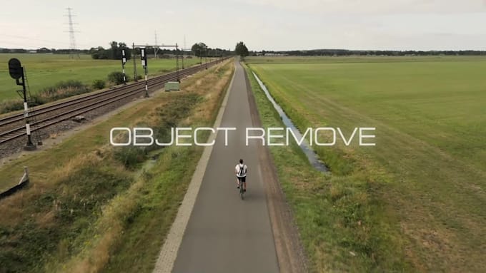 do professional video editing, object removal, background change and animation