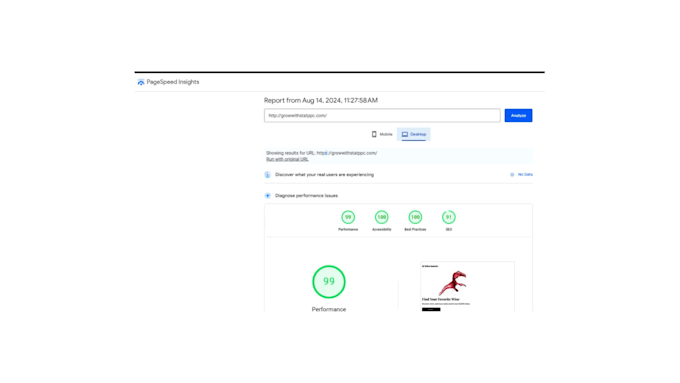 do website speed optimization for google pagespeed insight
