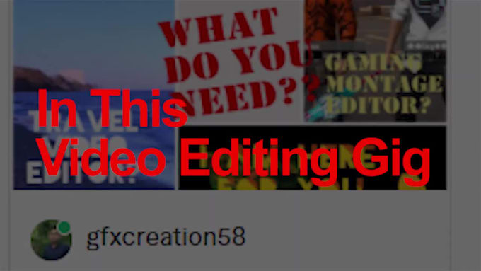 do professional video editing services