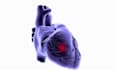 animate 3d pharmacokinetics and  drug pathways for pharma