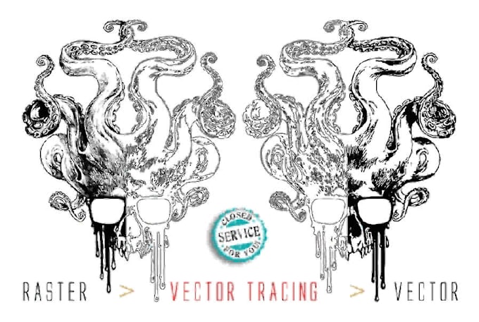 convert raster into vector or vice versa