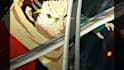 make a professional short amv for you