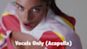 create acapella or karaoke instrumental from any song
