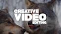 do video editing quickly