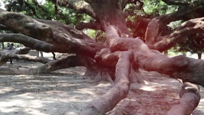 do historical place videography for professional use