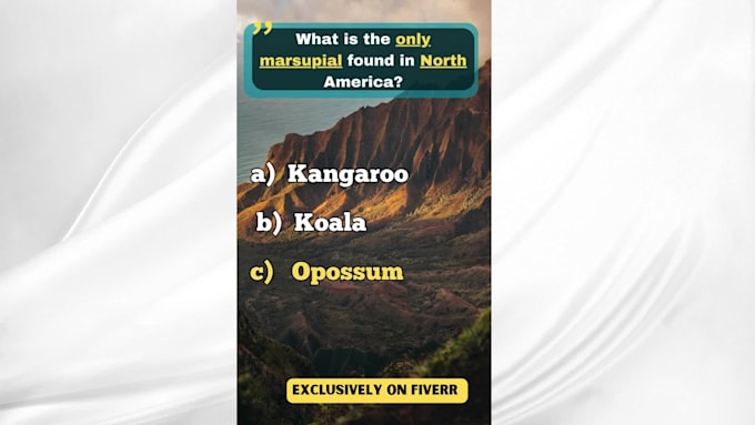 create general quiz videos for tiktok creativity program