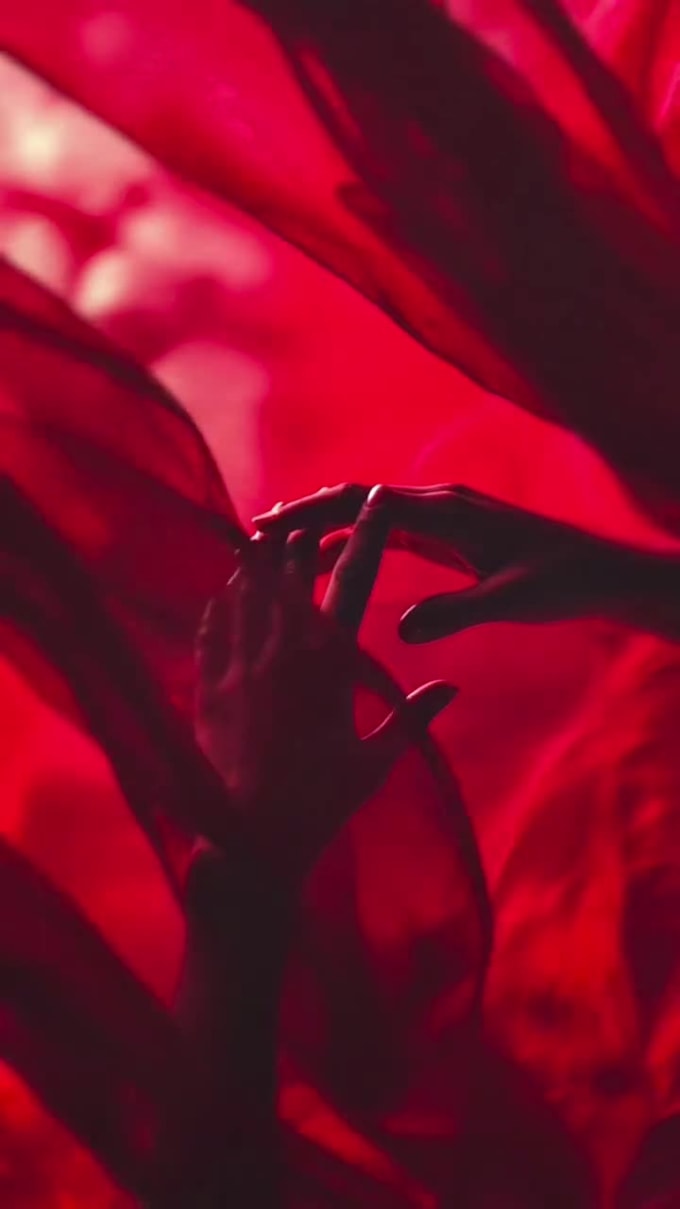 write a dark, taboo, or bully romance that captivates readers