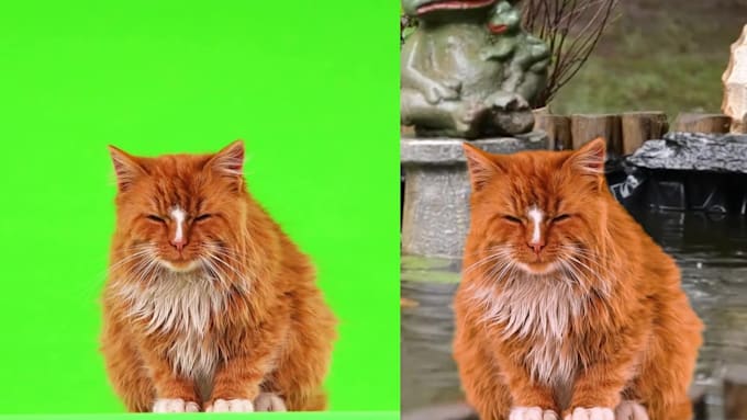 premium green screen video keying service