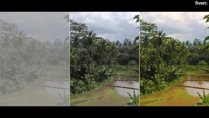 do video editing with expert color correction and color grading