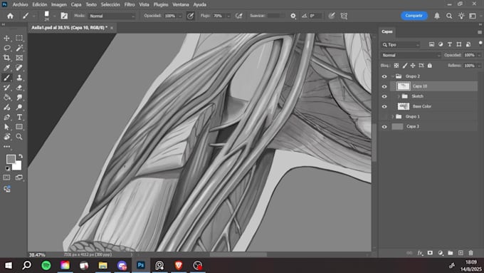 do professional medical illustrations