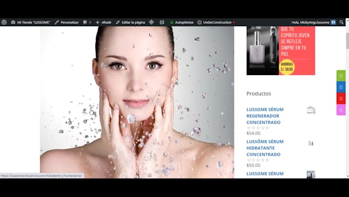 create professional wordpress website in spanish