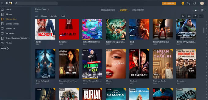 Streaming Services Overlay — Plex Meta Manager Wiki 1.19.1