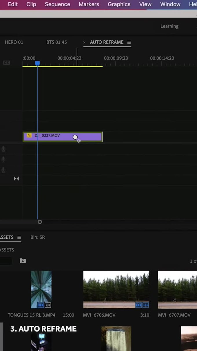 Professional video editing, visual effects, logo animation by