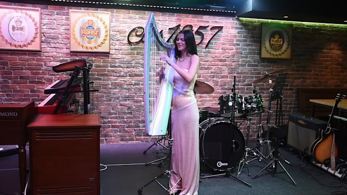 record high quality harp sounds