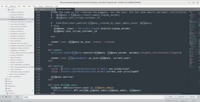 develop and fix bugs of ruby on rails ror websites