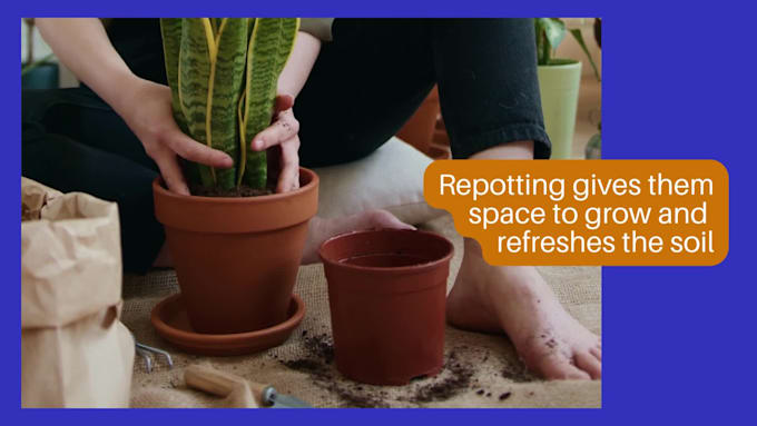 write plant gardening blog posts, indoor houseplants, and lawn care articles