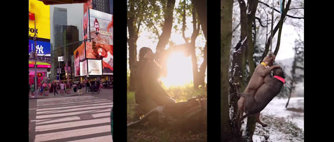 provide 50 viral youtube shorts videos