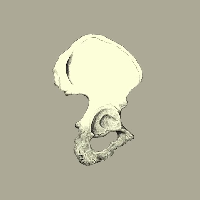 design scientific illustrations with an artistic touch
