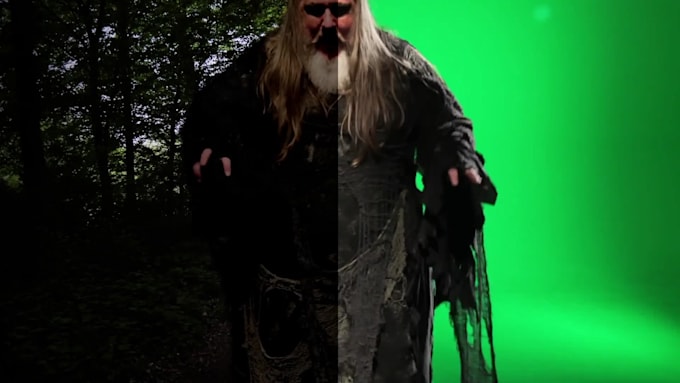 do rotoscope and keying work for you