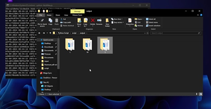 develop python scripts for task automation and data processing