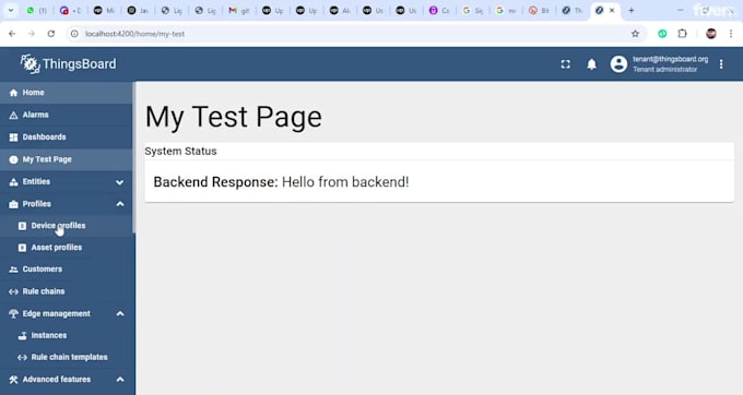 develop custom web app in angular or react with java backend