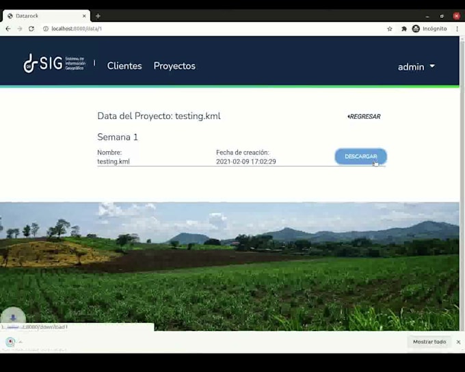 build your web app or API with nextjs nodejs or laravel