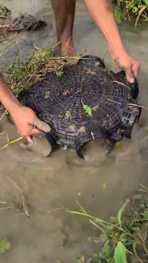 make fishing reels video for you youtube ,fb, tiktok,