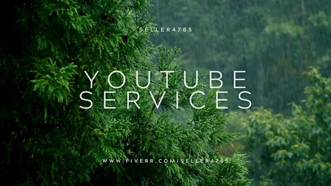 write professional youtube video title descriptions and tags