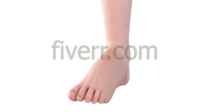 do human anatomy using 3d medical animation