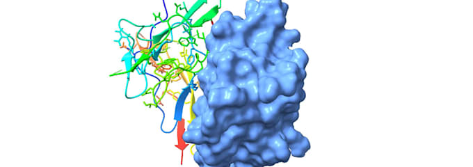 assist you in peptides and protein protein docking