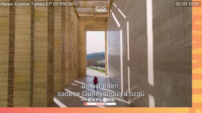 make subtitles in 50 languages by native speakers