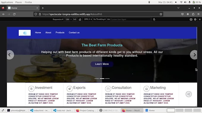 create a wonderful scalable SEO friendly website
