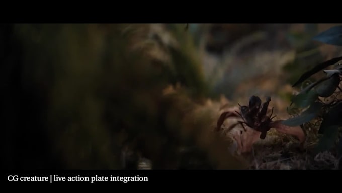 do compositing, keying, 3d compositing, blood and fire comp, tracking