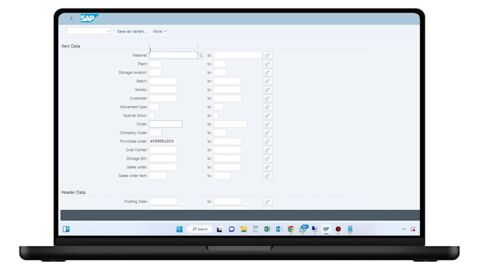 provide expert sap abap development and consultation