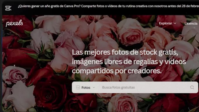 design an ebook for you in canva