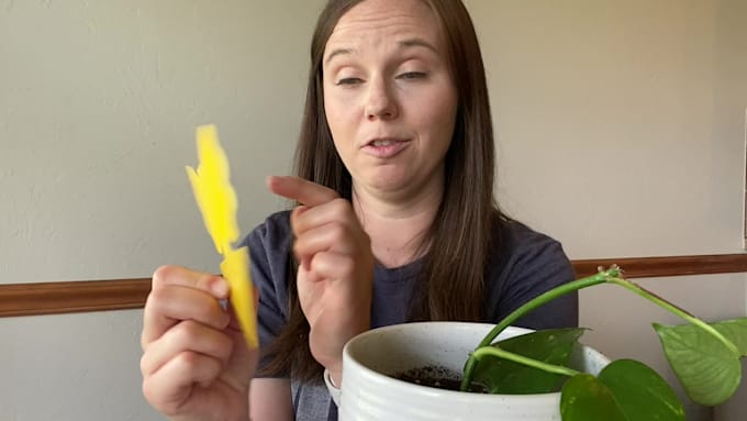 create a shoppable amazon influencer video for your product
