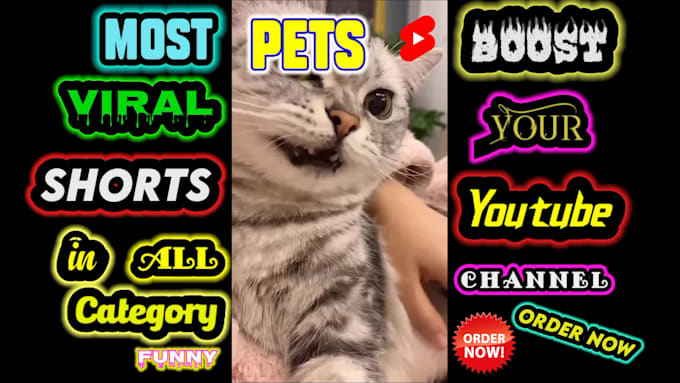 Create a shorts channel and provide 60 yt shorts by