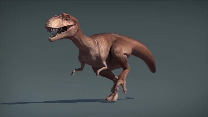 do 3d animation on time