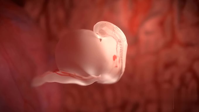 do 3d medical animation video super fast