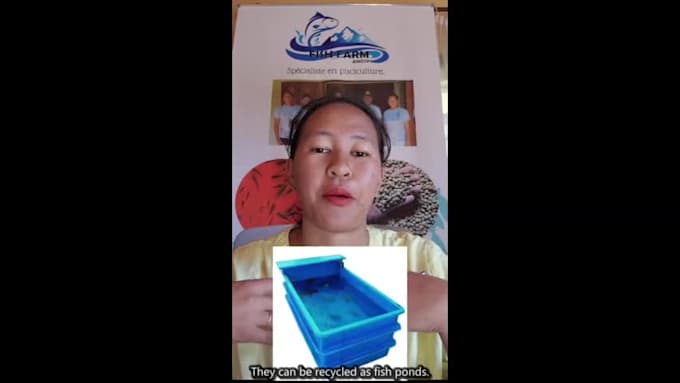 translate and caption videos