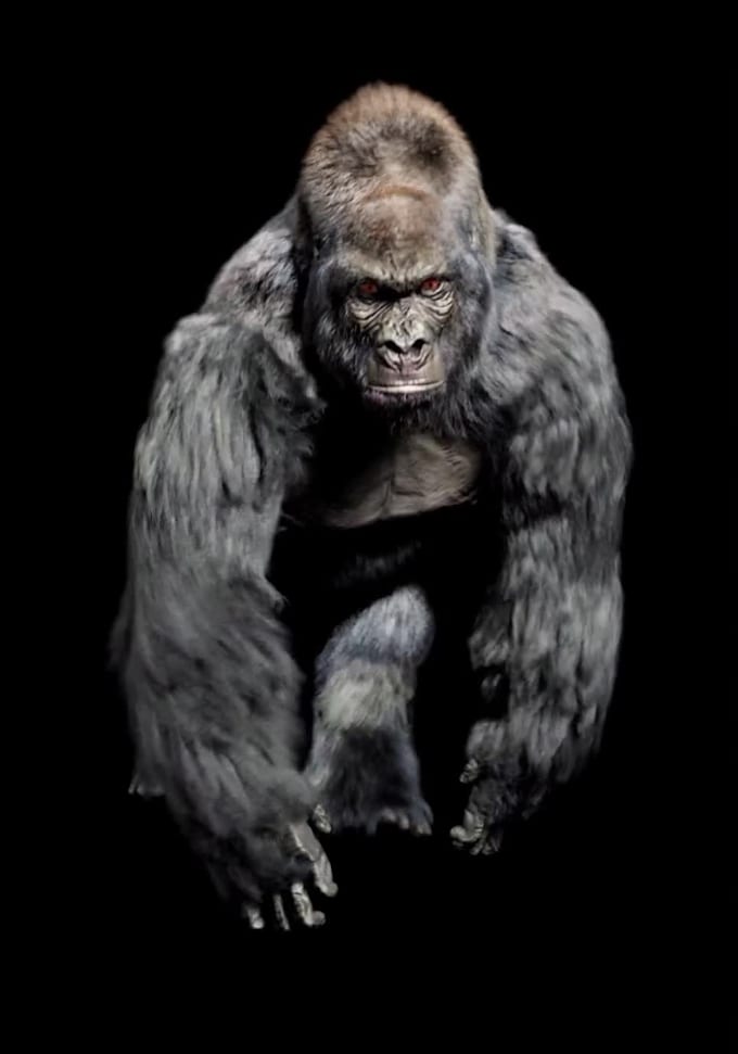 3d animal model realistic fur 3d xgen zbrush model, maya blender model, 3d print